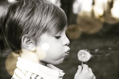 Close-up of boy blowing dandelion