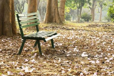 Empty bench in park