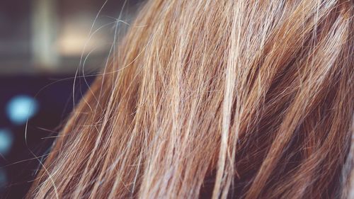 Close-up of young woman