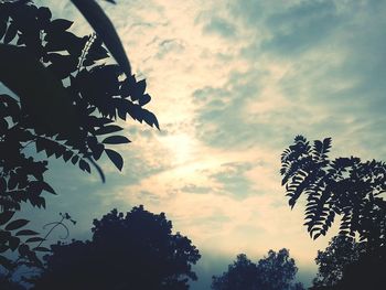 Low angle view of trees against cloudy sky