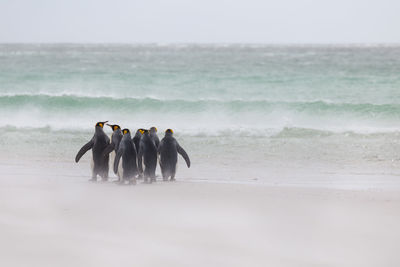 Group of people on beach