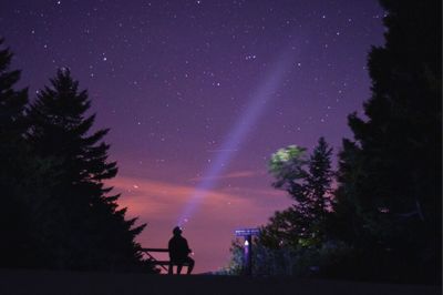 Silhouette trees against star field at night