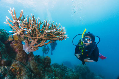 A man is diving in the ocean with a coral reef in the background. 