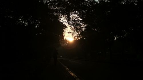 Silhouette trees by road against sky during sunset