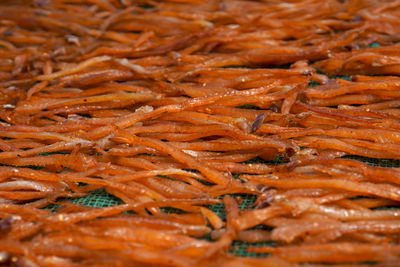 Full frame shot of seafood at market stall