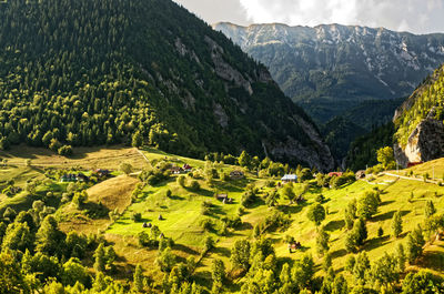 Scenic view of agricultural field against mountains