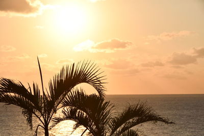 Palm trees on beach against sky during sunset