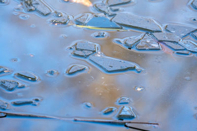High angle view of raindrops on glass