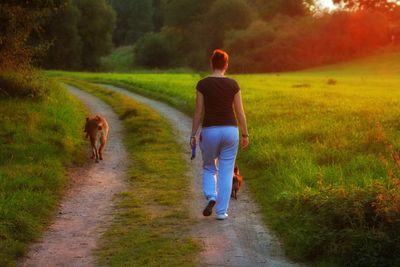 Rear view of a woman walking with dogs on dirt road