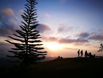 Silhouette trees on beach against sky at sunset