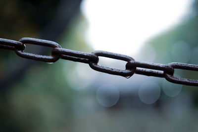 'no entry' concept. rusty metal chain closed area.