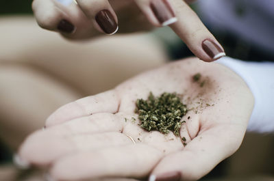 Cropped hands of woman holding marijuana