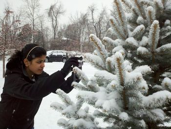 Woman photographing frozen pine tree
