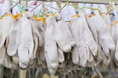 Close-up of clothes drying on clothesline