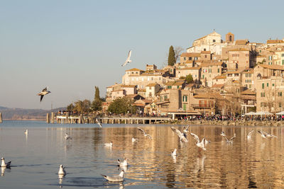 Seagulls flying over lake and buildings against sky