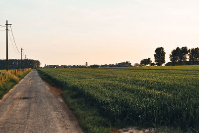 Scenic view of field against clear sky during sunset