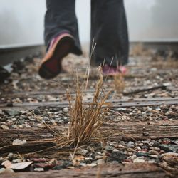 Low section of man walking on railroad track