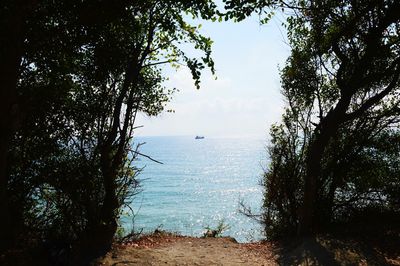 Scenic view of sea against sky