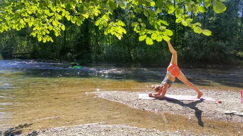 Woman with umbrella on plants against trees