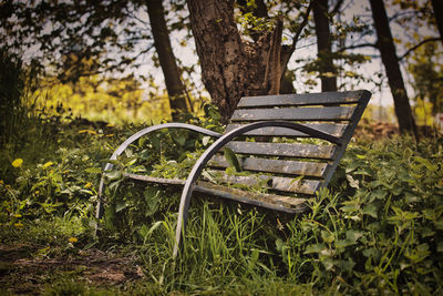 Empty bench in park