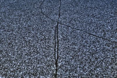Full frame shot of paving stone