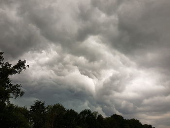 Low angle view of trees against cloudy sky