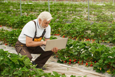 Man working on plants