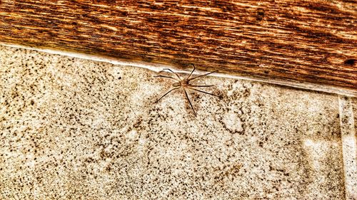 Full frame shot of tiled floor