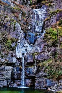 Scenic view of waterfall in forest