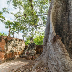 Old sculpture by building against trees