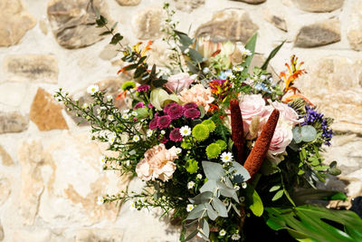 Close-up of rose plant