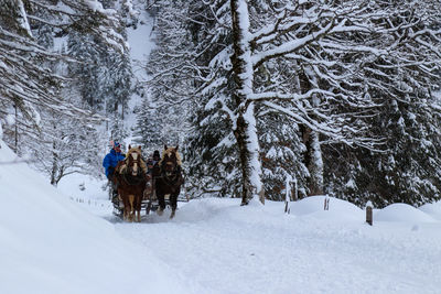 People on horsecart amidst snow covered landscape