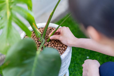 Close-up of hand holding leaf