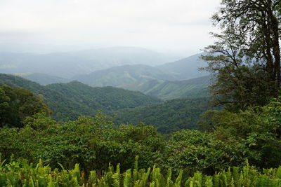 Wat kong nan province 