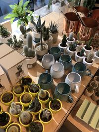 High angle view of potted plants on table