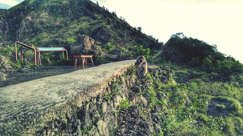 Scenic view of farm against sky