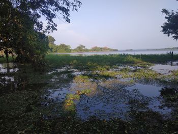 Scenic view of lake against sky