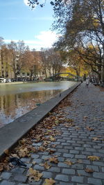 Cobblestone street amidst bare trees in park during autumn