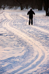 Rear view of person skiing on field during winter