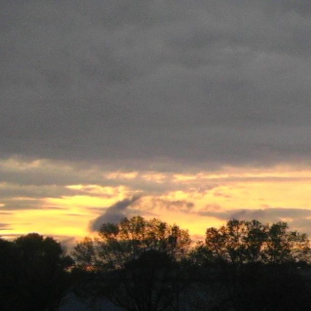 sunset, tree, sky, silhouette, cloud - sky, beauty in nature, scenics, tranquil scene, tranquility, orange color, nature, cloudy, idyllic, dramatic sky, cloud, weather, growth, outdoors, low angle view, no people