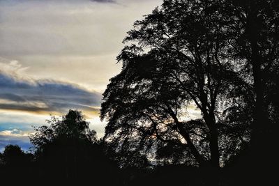 Low angle view of silhouette trees against sky at sunset
