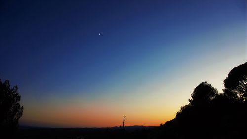 Silhouette trees against sky during sunset