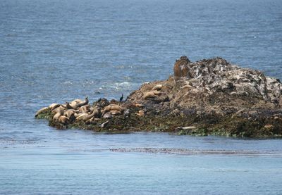 View of sea and rock