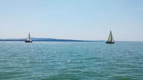 Sailboat sailing on sea against clear sky