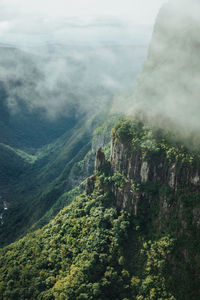 Fortaleza canyon with steep rocky cliffs covered by forest and fog, near cambará do sul, brazil.