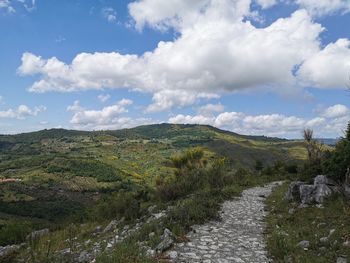 Scenic view of landscape against sky