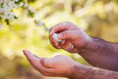 Close-up of hand holding leaf