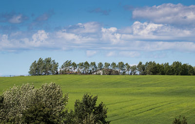 Scenic view of field against sky