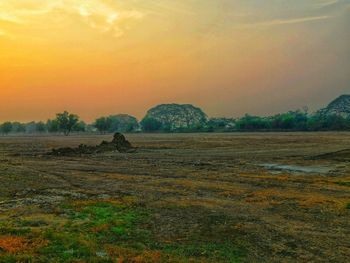 Scenic view of field against sky during sunset