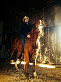 Portrait of horse standing in stable